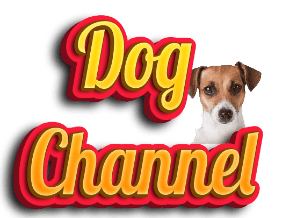 Micro Pets, TV App, Roku Channel Store