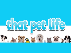 Micro Pets, TV App, Roku Channel Store