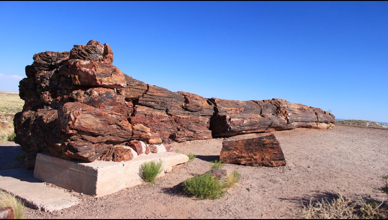 petrified forest screensaver roku channel store roku petrified forest screensaver roku