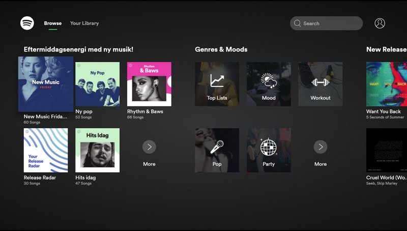 Can You Get Spotify On Roku Express Spotify Music Roku Channel Store Roku