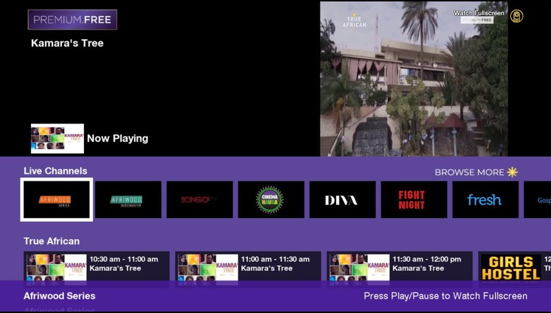 PressPlay Guyana, TV App, Roku Channel Store