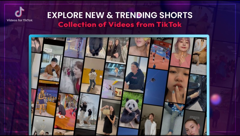 Videos for TikTok - Tik Tok, TV App, Roku Channel Store