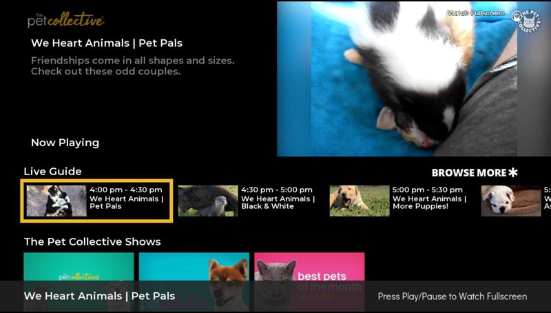Micro Pets, TV App, Roku Channel Store