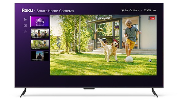 Live video stream of a child playing with a dog in a yard being viewed on a Roku TV and phone
