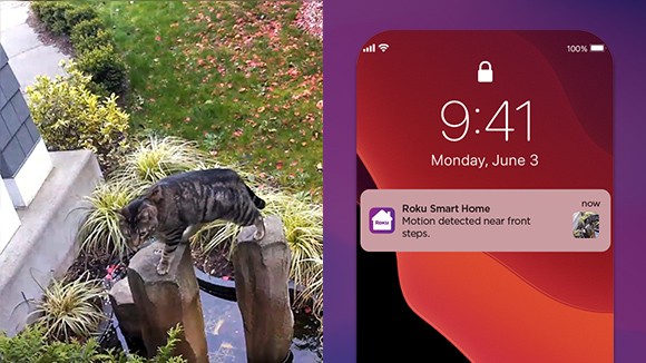 Roku Smart Home mobile app displaying a detection alert for a cat in the yard