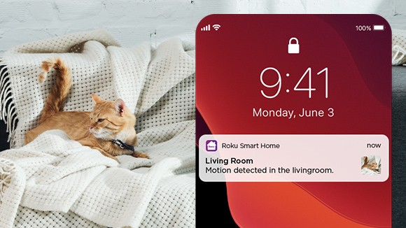 Roku Smart Home mobile app displaying a detection alert for a cat in the living room