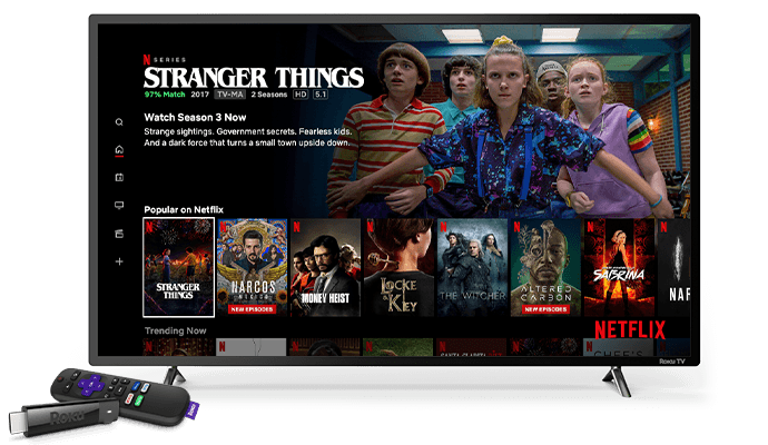 Netflix Player by Roku