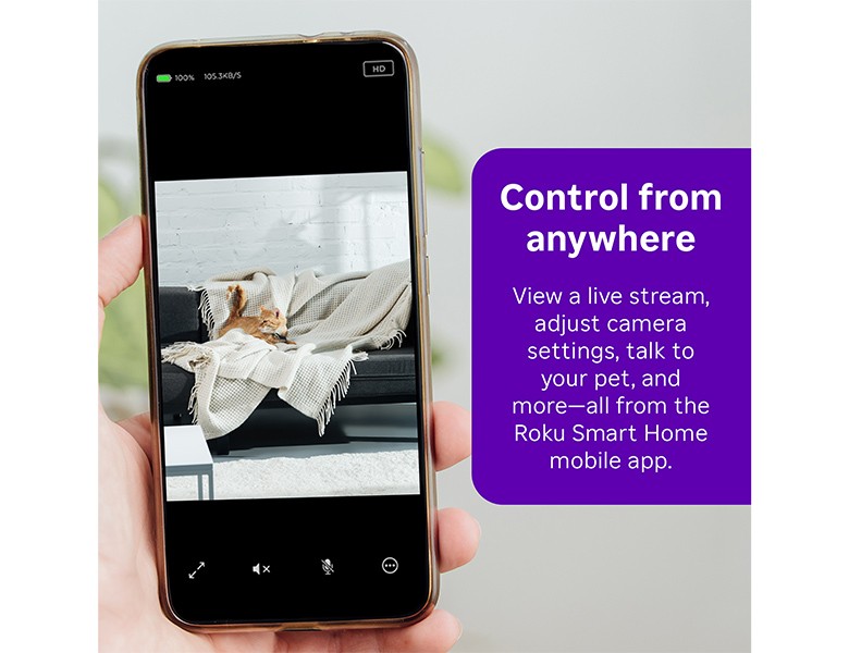 Roku Indoor Camera streaming a video of a cat playing inside a home