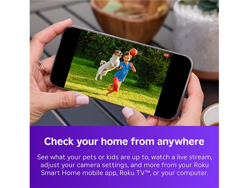 Person looking at a video on a phone of a child and a dog playing in a yard
