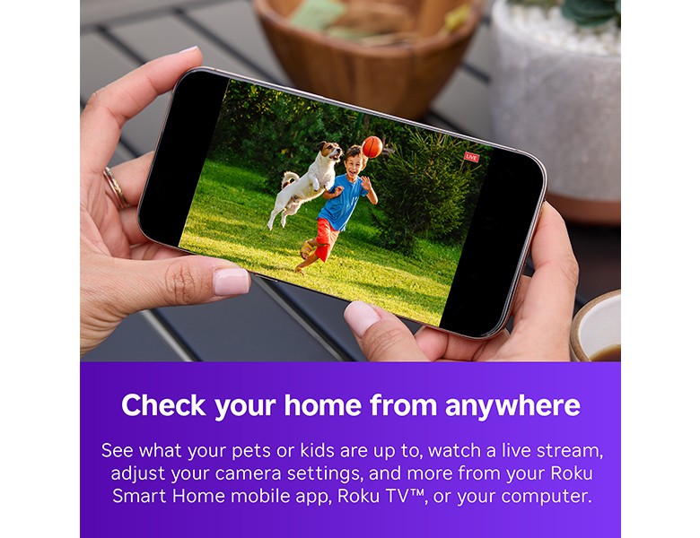 Person looking at a video on a phone of a child and a dog playing in a yard