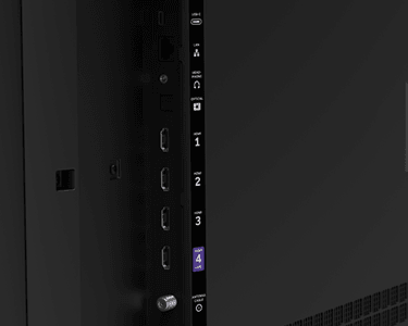 Port view of a Roku Plus Series Mini-LED TV