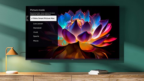 Roku Plus Series Mini-LED TV displaying a vivid color picture