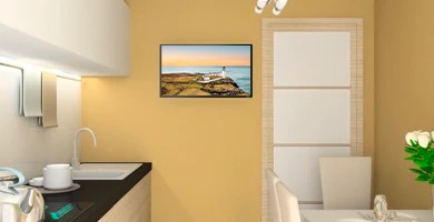 Téléviseurs intelligents à écran plat de 24 à 32&nbsp;pouces - Roku