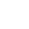 Globe icon