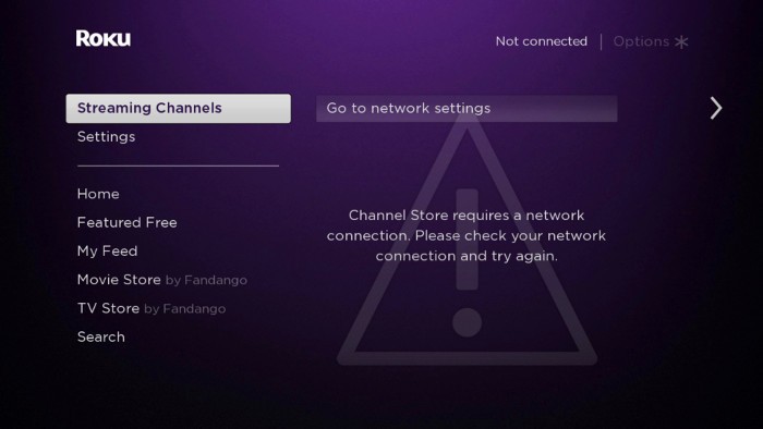 TV, TV App, Roku Channel Store