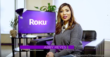 Image of post for blog2015 roku holiday gift guide 2