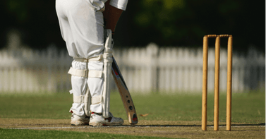 Image of post for blognow roku platform espn cricket pass streaming 2016 vivo indian premiere league