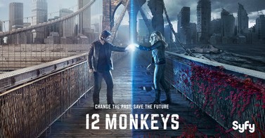 Image of post for blogsyfy now available on the roku platform