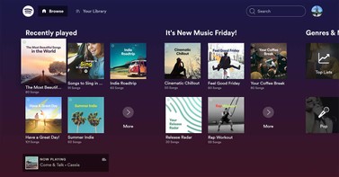 Image of post for bloges mxspotify regresa a roku