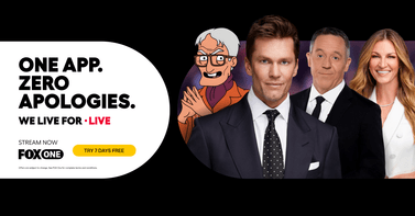 Image of post for blogfox one