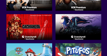 Descubre lo mejor de las Suscripciones Premium: historias que te atraparán - Read on Roku Blog