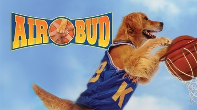 Watch Air Bud online on The Roku Channel - Roku